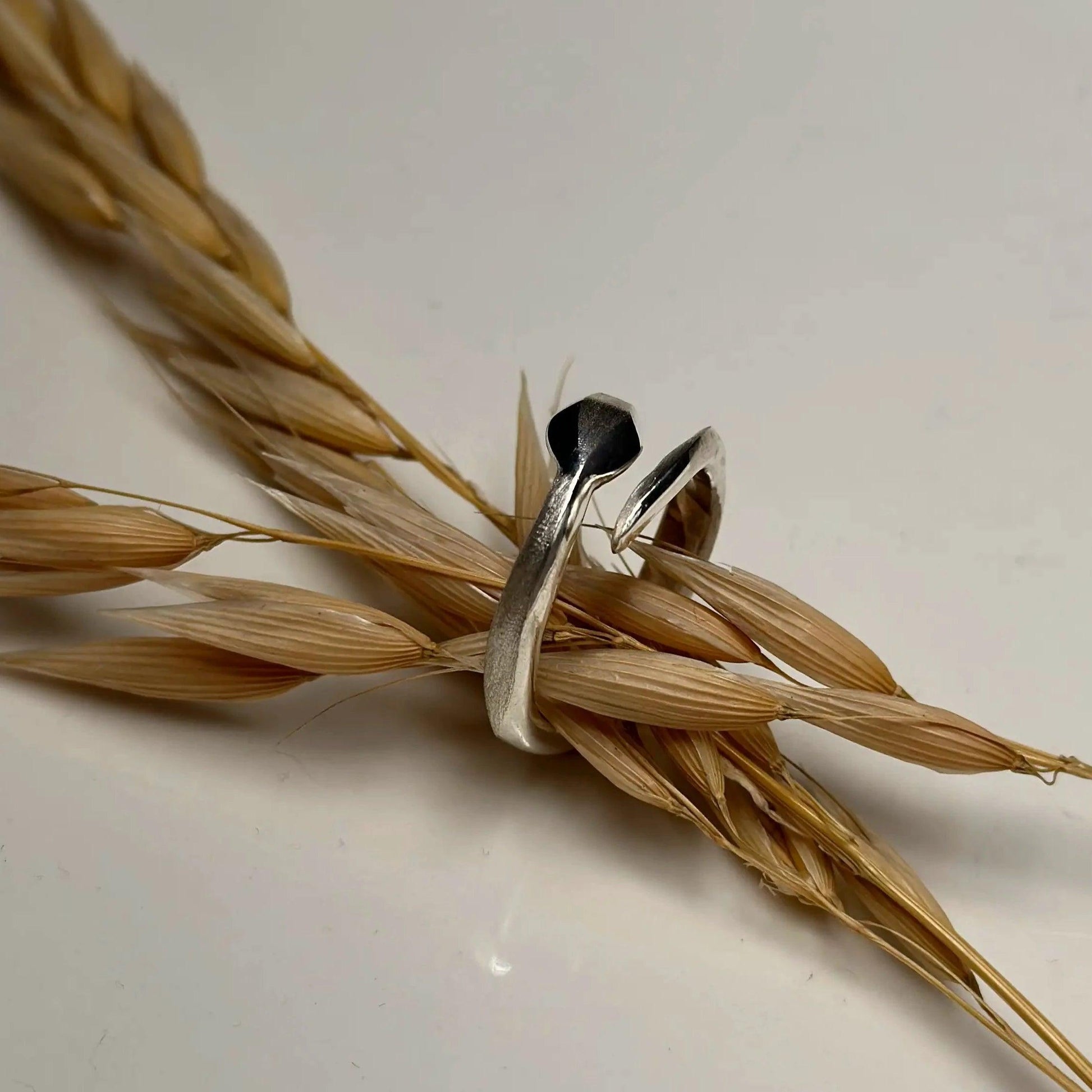 Anello in argento a forma di serpente visto da dietro