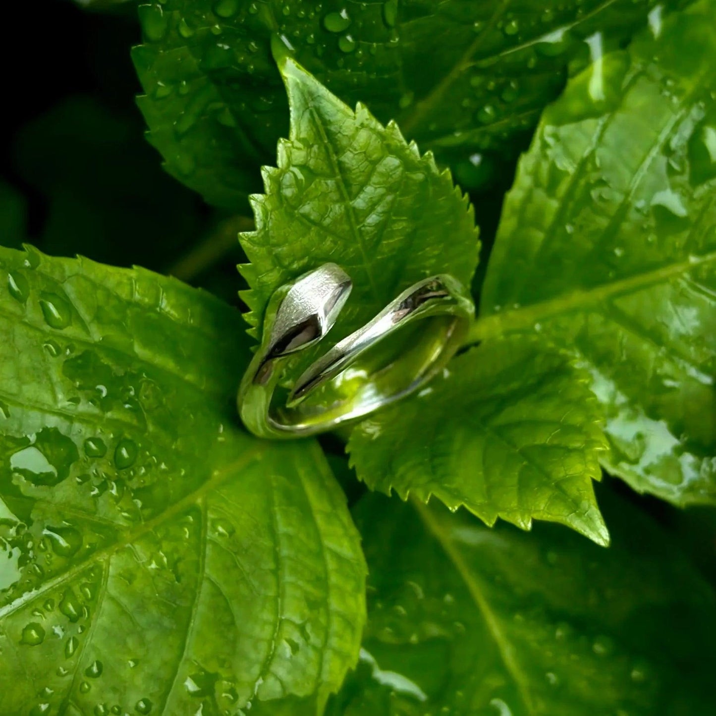 Anello in argento a forma di serpente visto da sopra