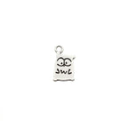Sara Grace Jewelry - Foto Prodotto Orecchino Gufo Su Sfondo Bianco
