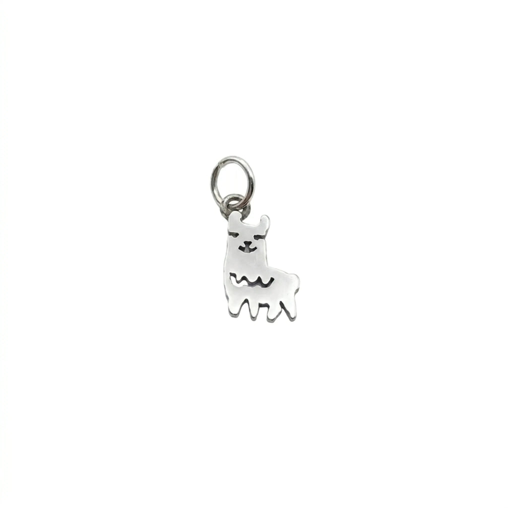 Sara Grace Jewelry - Foto Prodotto Orecchino Fochina Su Sfondo Bianco